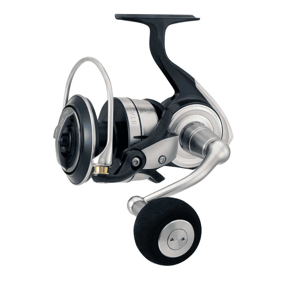 Daiwa 21 Certate SW G 18000-H – Bild 2