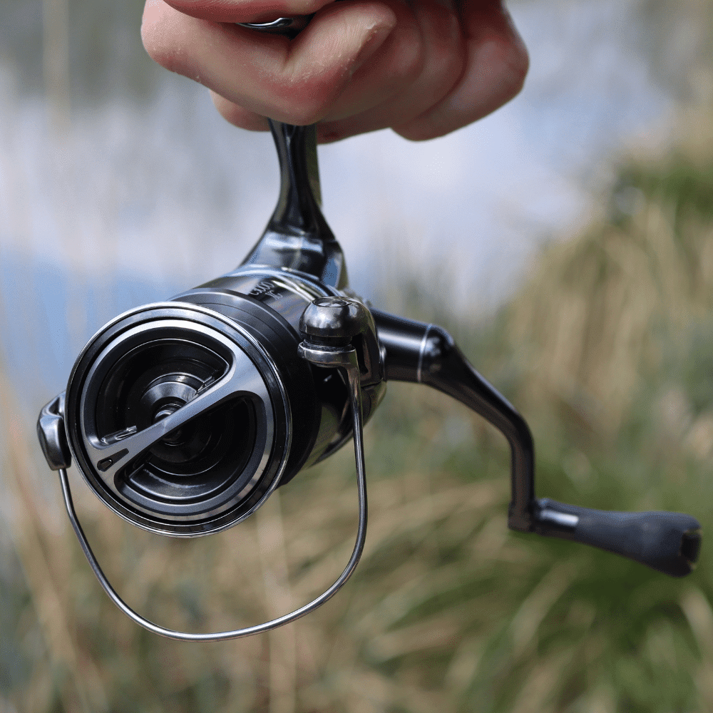Shimano Stella C 3000 XG FK – Bild 2