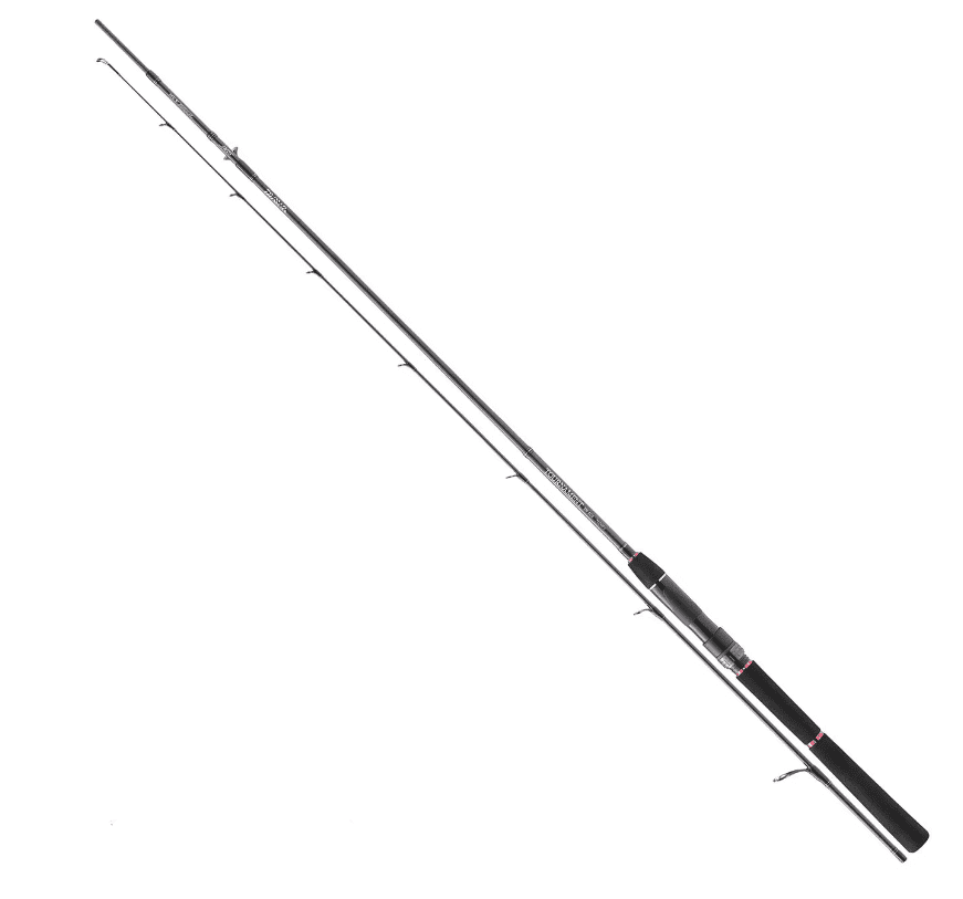 Daiwa Tournament SW AGS Jigger 240 Cm 7-28g
